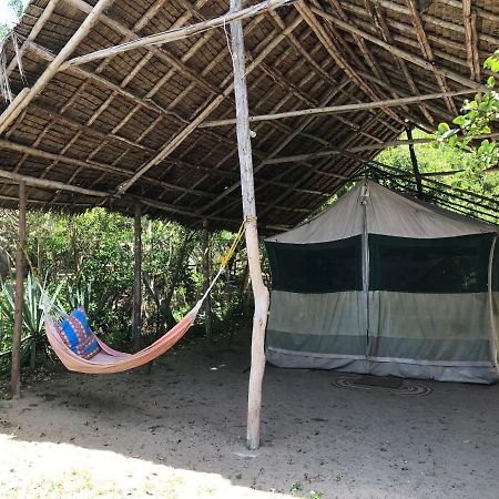 Peponi Beach Resort Pangani Exteriör bild