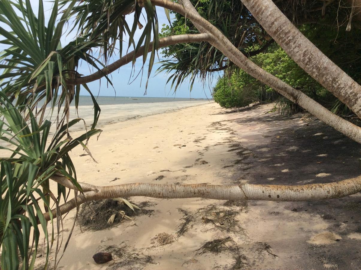 Peponi Beach Resort Pangani Exteriör bild