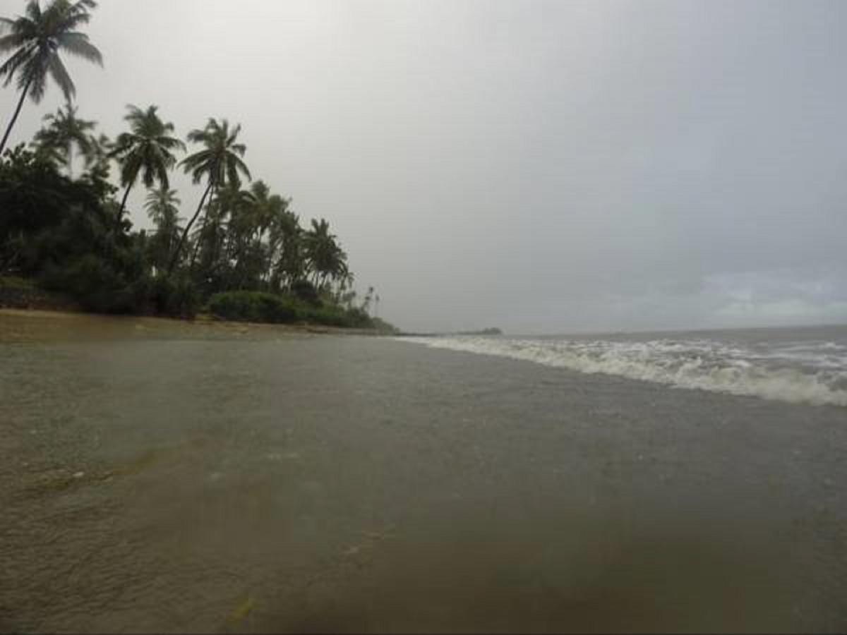 Peponi Beach Resort Pangani Exteriör bild