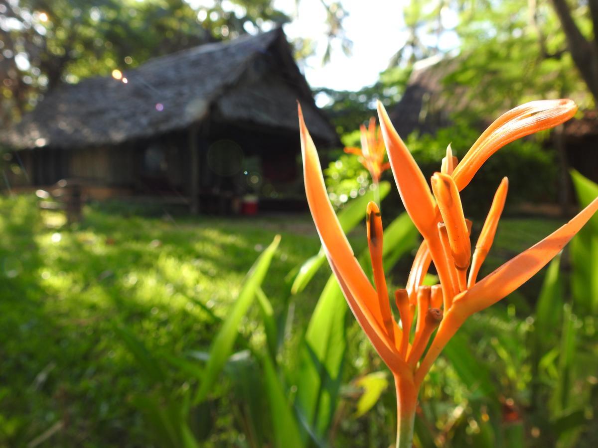 Peponi Beach Resort Pangani Exteriör bild